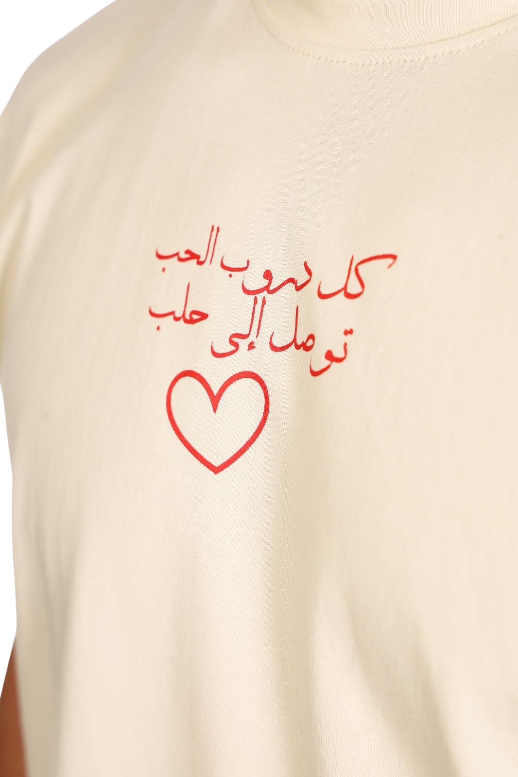 Aleppo Unisex Oversize Premium T-shirt (Beige)